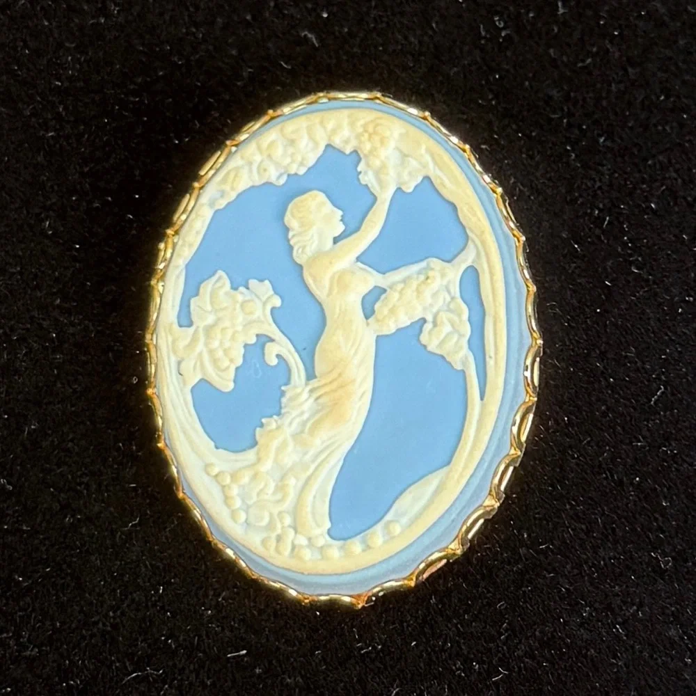 Vintage Blue and Cream Cameo Brooch